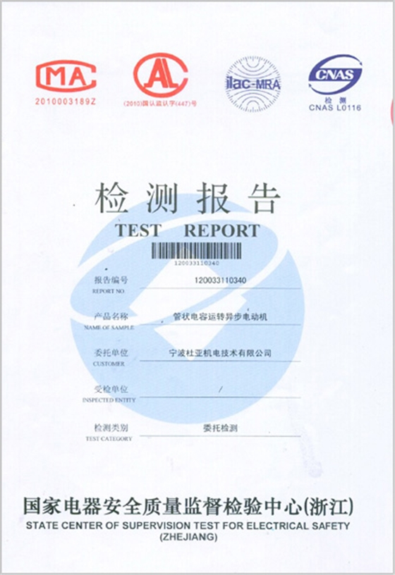 管状电容运转异步电动机检测报告