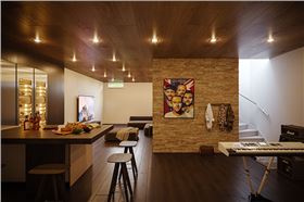 大师作品软包沙发地下室