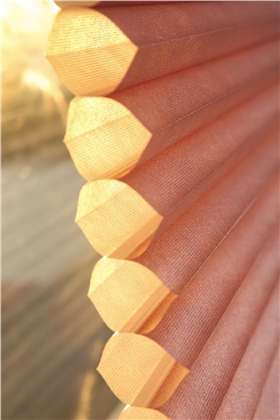 蜂巢帘结构 蜂巢帘结构