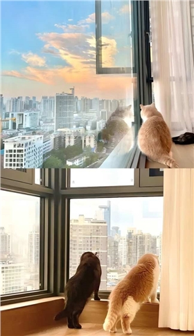 上海窗帘 