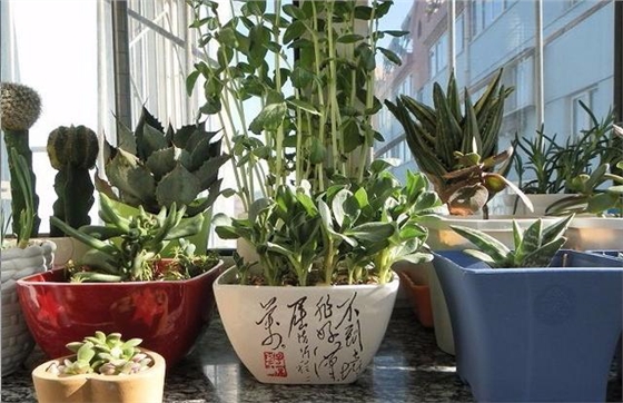 窗帘是“家的口罩”,怎样才能让家里的空气更清新(经验分享)