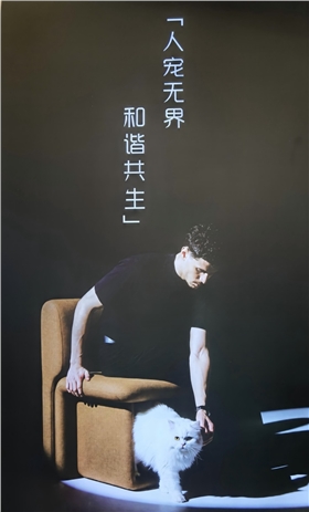 上海软装设计 上海软装设计